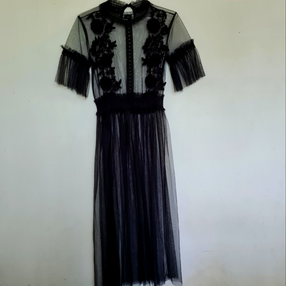 Sheer Mesh midi dress with floral detailing - Picture 2 of 4